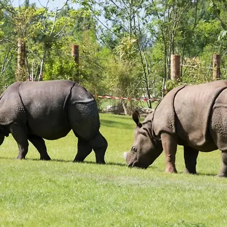 Maison Charmante à Avec Jardin Et Parking Privé Casa vacanze La Flèche