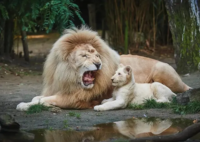 Maison Charmante à Avec Jardin Et Parking Privé Casa vacanze