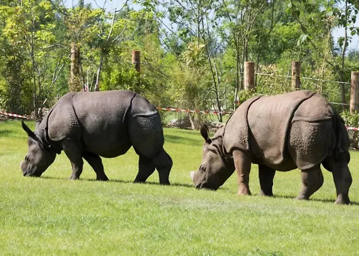Maison Charmante A Avec Jardin Et Parking Prive Prázdninový dům La Flèche